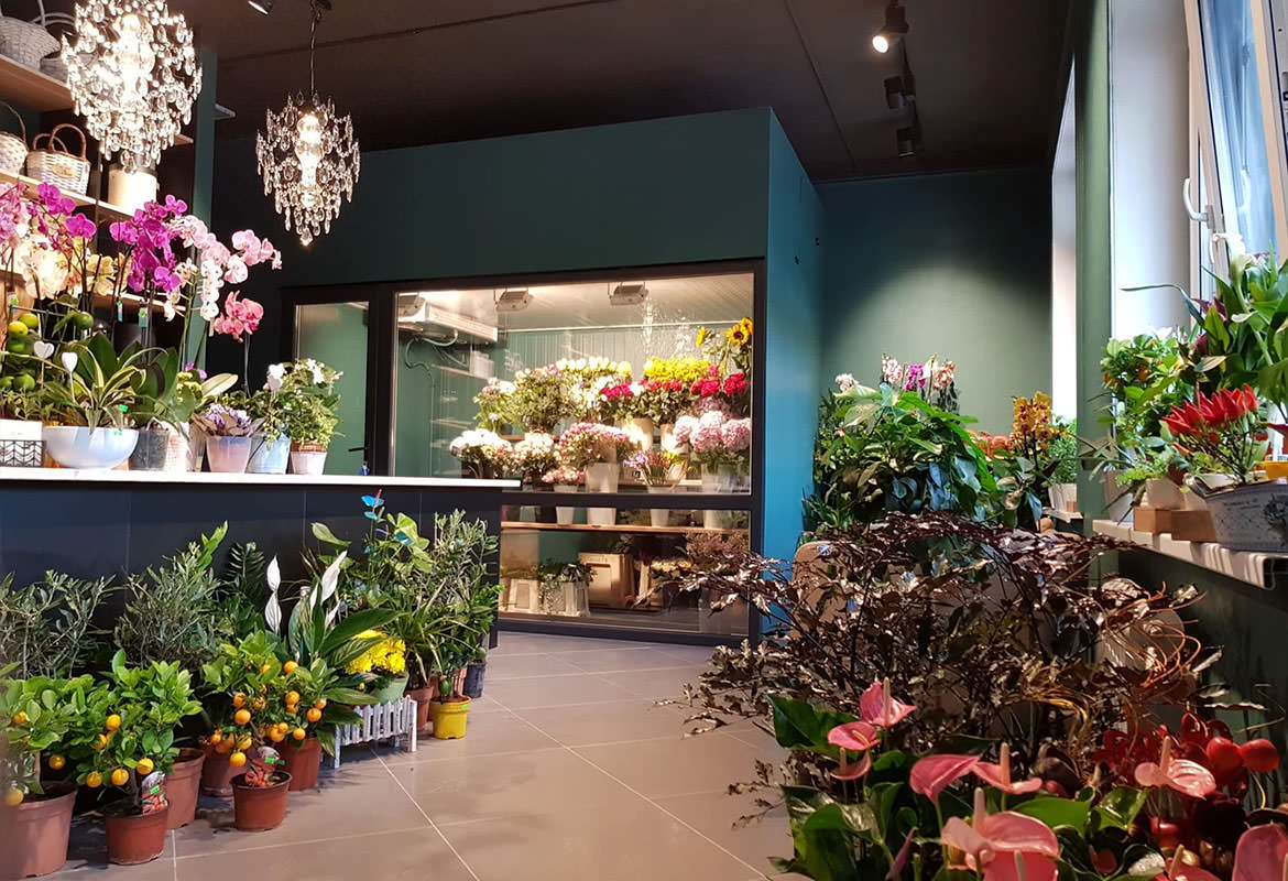 Цветочный магазин свободный. Интерьер цветочного магазина. Цветочный салон. Красивый магазин цветов. Стильный интерьер цветочного магазина.